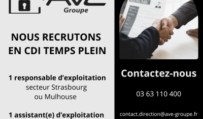 ave groupe recrute